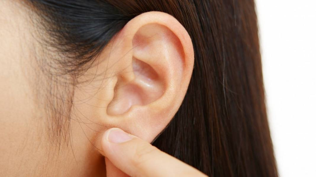 Kulak arkası neden peynir gibi kokar? - Resim: 13